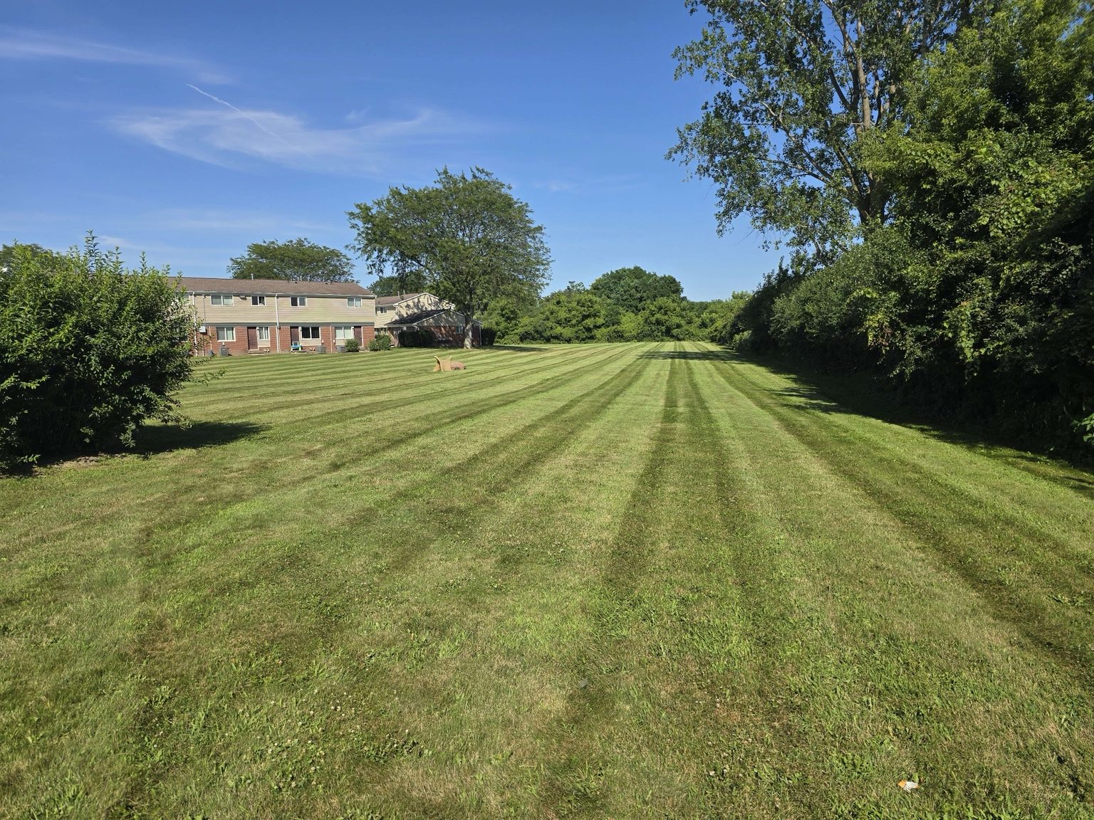 Large maintained lawn with long mowing stripes