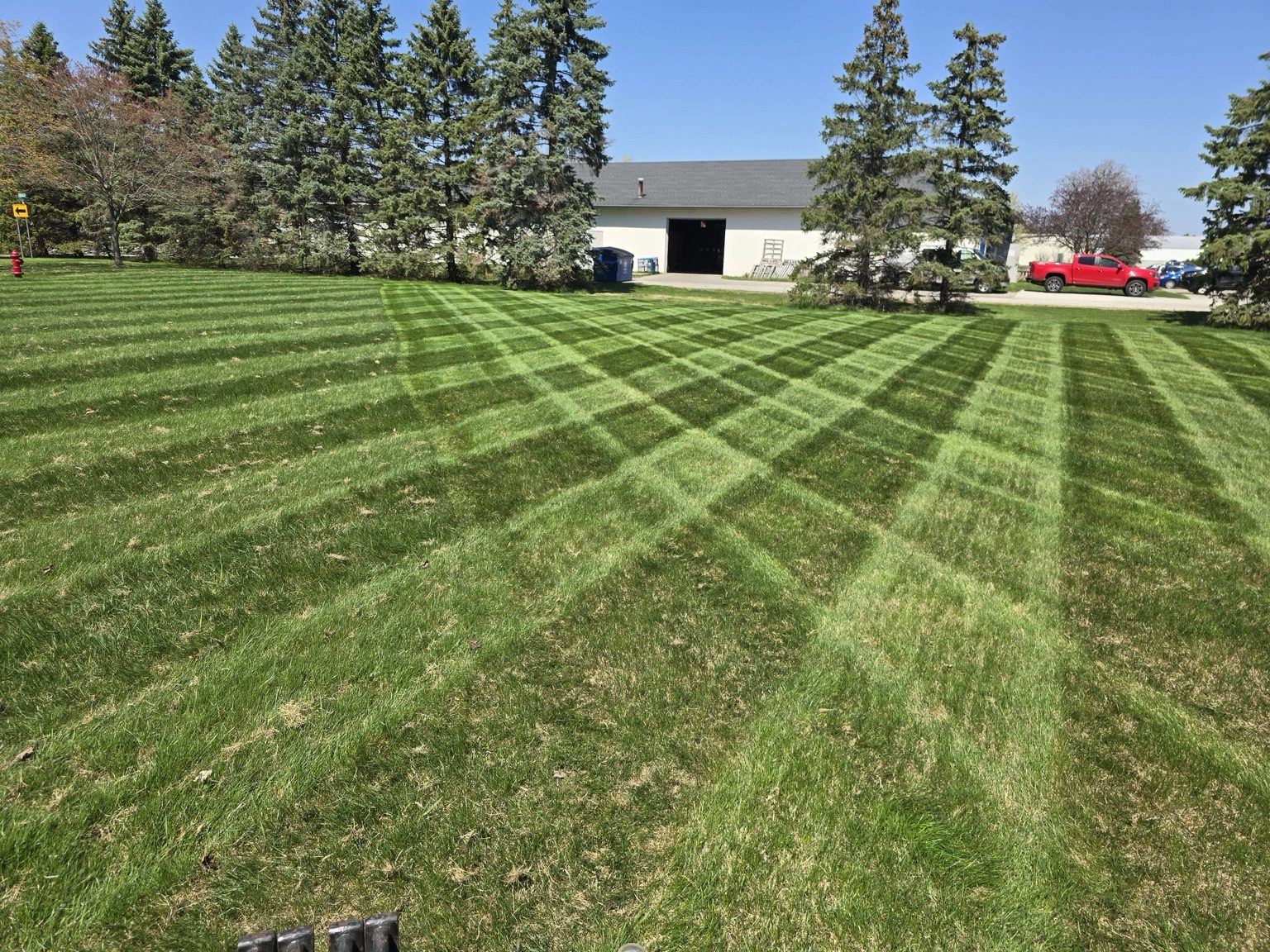 Lawn showing detailed mowing stripes